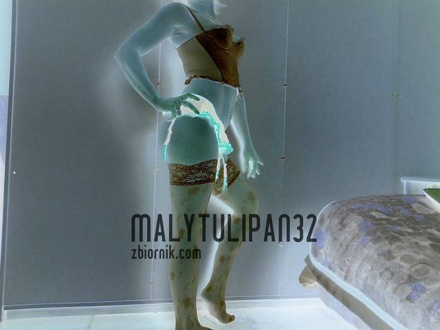 MalyTulipan32