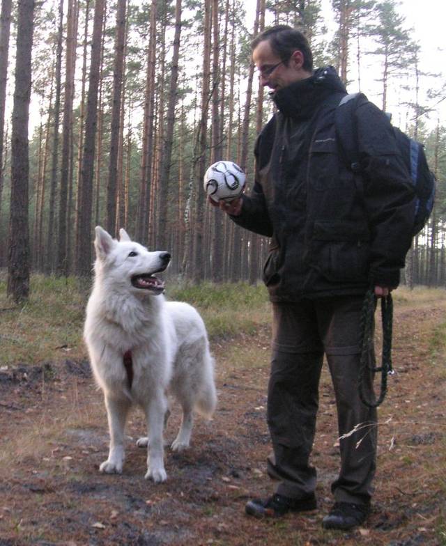 kotolek