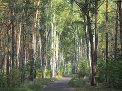 IMG_4078.JPG