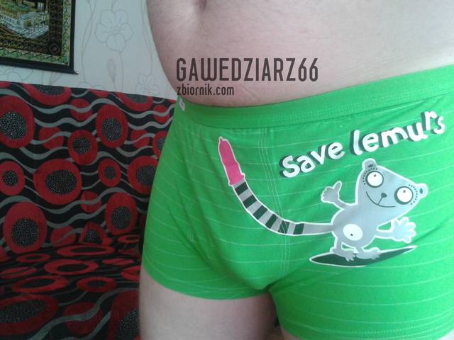 LEMUR - gawedziarz66