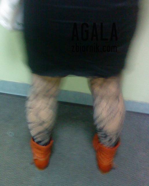 DSC05231odj.jpg - AGALA
