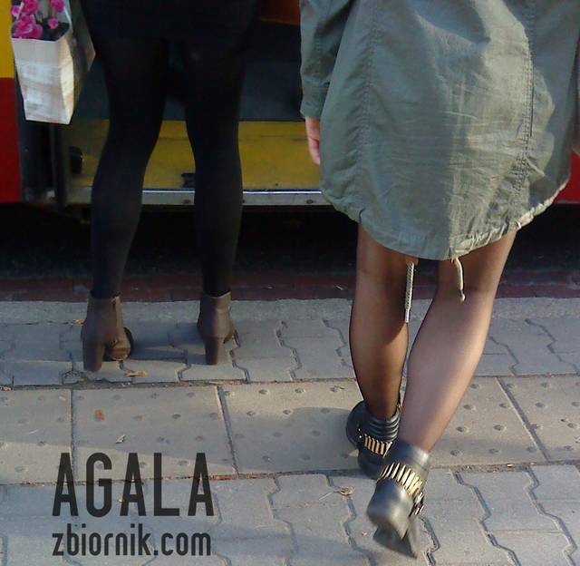 DSC05208cz.jpg - AGALA