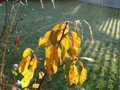 IMG_4212.JPG
