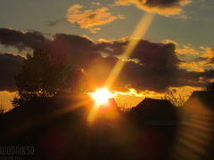 IMG_4394.JPG