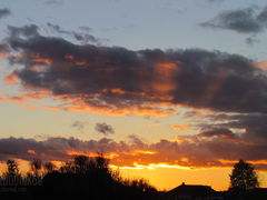 IMG_4407.JPG