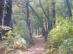 IMG_4605.JPG