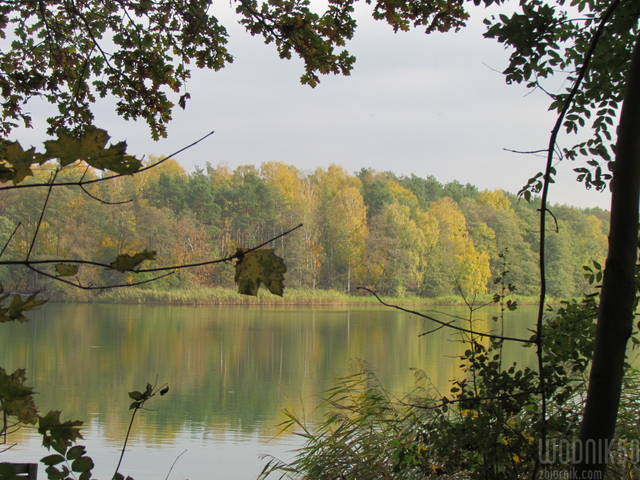 IMG_4608.JPG - wodnik50