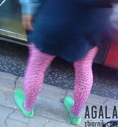DSC05397odj.jpg