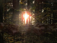 IMG_4700.JPG