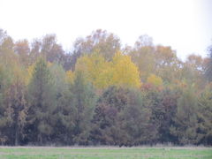 IMG_4708.JPG