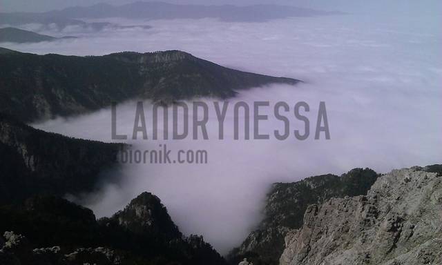 1377567_736997229649105_1696720515_n.jpg - LanDrynEssa