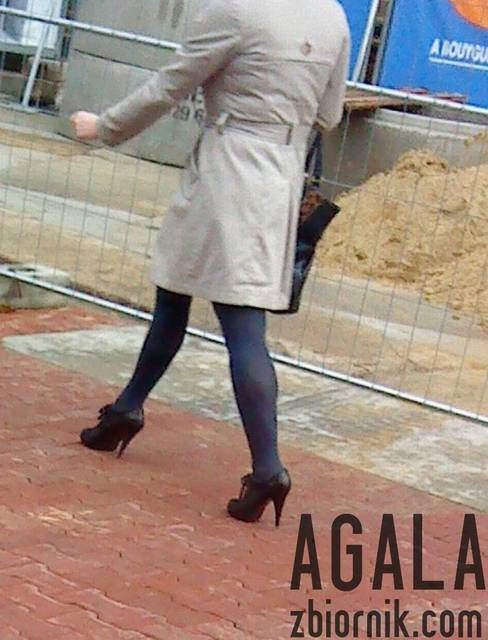 DSC05449v.jpg - AGALA