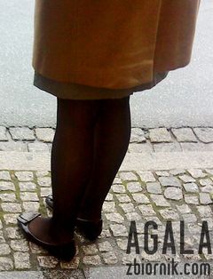 DSC05420cz.jpg