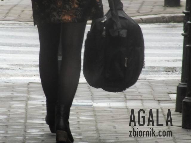 DSCF6197cz.jpg - AGALA