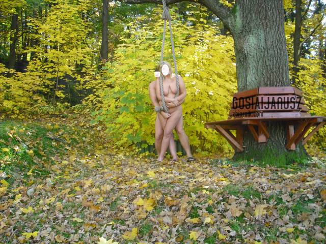 gosiaijanusz