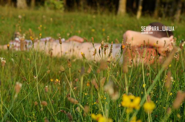 sexipara_wawa