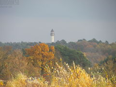 IMG_4822.JPG