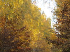 IMG_4844.JPG