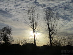 IMG_4926.JPG