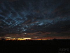 IMG_4976.JPG