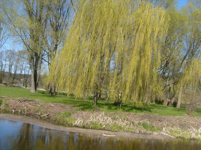 ulkaradom