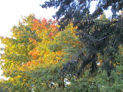 IMG_3880.JPG
