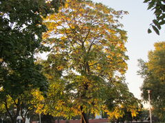 IMG_3876.JPG