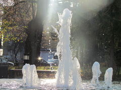 IMG_5125.JPG