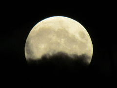 IMG_4449.JPG