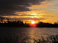 IMG_5197.JPG