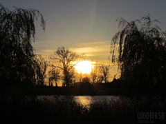 IMG_5225.JPG