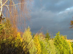 IMG_5246.JPG