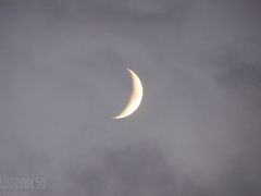IMG_5283.JPG