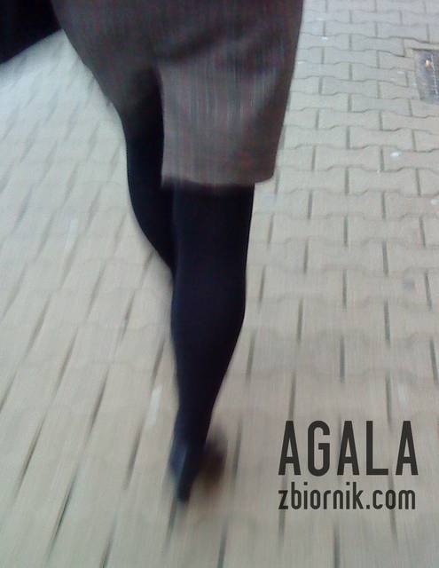 DSC05676cz.jpg - AGALA