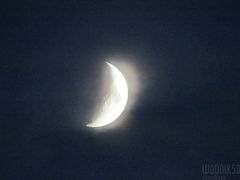 IMG_5327.JPG
