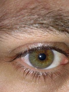 CAM00413.jpg