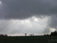 IMG_5553.JPG