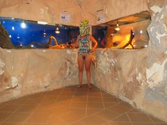oceanarium ha ha ha