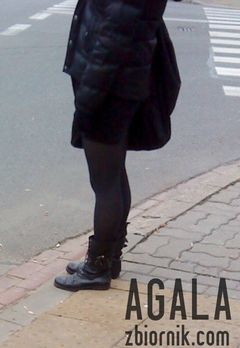 DSC05803v.jpg