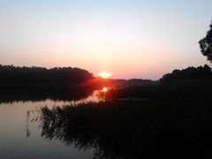 Zdjęcie0608.jpg