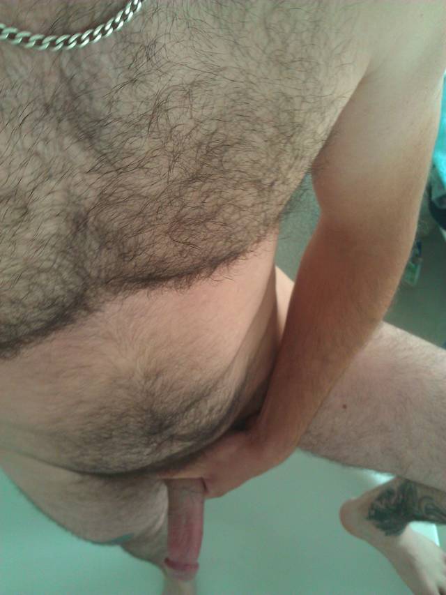 ModelPodobno