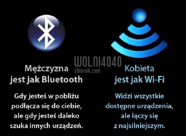 Dla jasności - wolni4040
