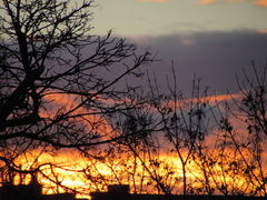 IMG_5659.JPG