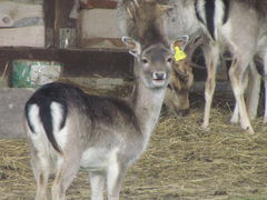 IMG_5718.JPG