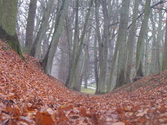 IMG_5791.JPG