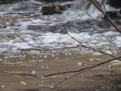 IMG_5760.JPG