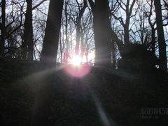 IMG_5602.JPG