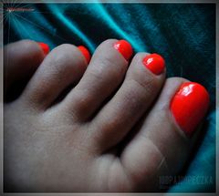 Orange 41