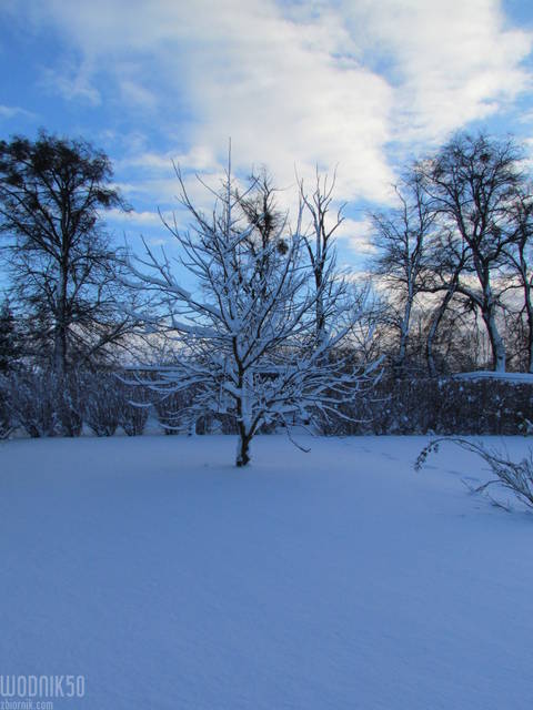 zima - wodnik50