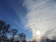 IMG_6124.JPG